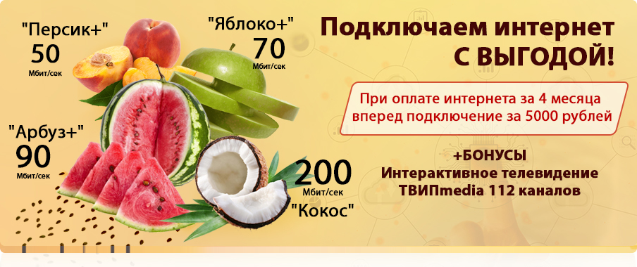 Интернет в частном секторе